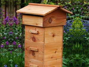 Lune Valley Beekeepers Alternative Beekeeping