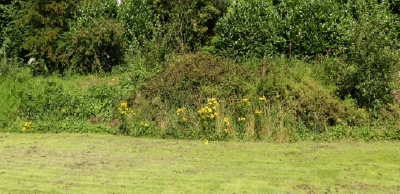 Lune Valley Bee Keepers Apiary - After