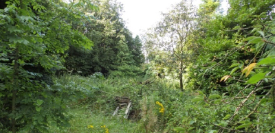 Lune Valley Bee Keepers Apiary - Before