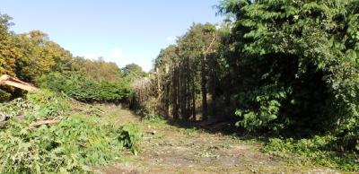 Lune Valley Bee Keepers Apiary - Before