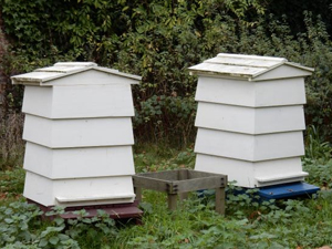 Lune Valley Beekeepers Conventional Beekeeping