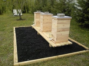 Lune Valley Beekeepers Conventional Beekeeping