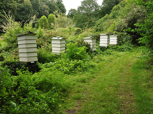 Lune Valley Beekeepers Conventional Beekeeping