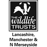 The Wildlife Trusts Lancashire, Manchester & N Merseyside Logo