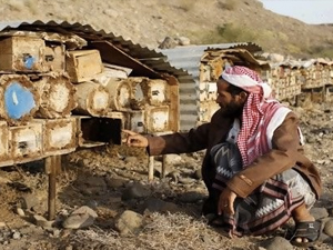 Lune Valley Beekeepers Traditional Beekeeping