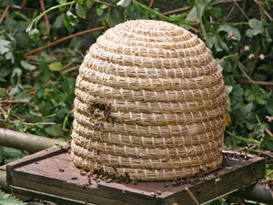 Lune Valley Beekeepers Traditional Beekeeping